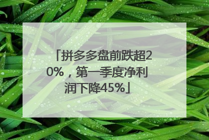 拼多多盘前跌超20%，第一季度净利润下降45%