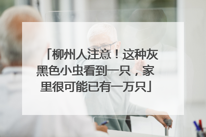 柳州人注意！这种灰黑色小虫看到一只，家里很可能已有一万只