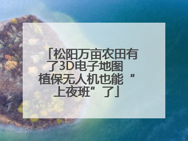 松阳万亩农田有了3D电子地图 植保无人机也能“上夜班”了