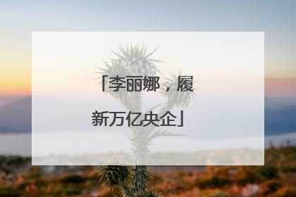 李丽娜，履新万亿央企