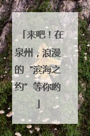 来吧！在泉州，浪漫的“滨海之约”等你哟