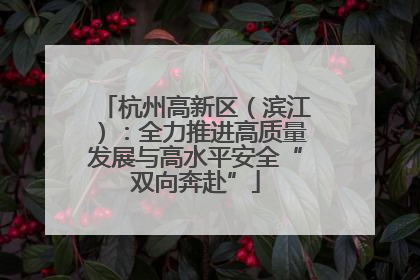 杭州高新区（滨江）：全力推进高质量发展与高水平安全“双向奔赴”