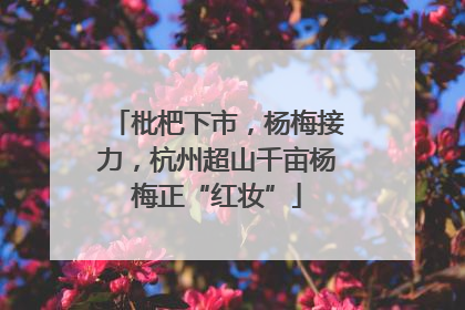 枇杷下市，杨梅接力，杭州超山千亩杨梅正“红妆”