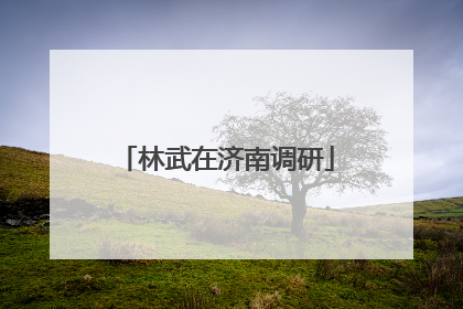 林武在济南调研