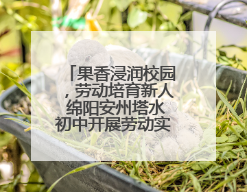 果香浸润校园，劳动培育新人 绵阳安州塔水初中开展劳动实践活动