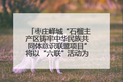 枣庄峄城“石榴主产区铸牢中华民族共同体意识联盟项目”将以“六联”活动为抓手深化品牌建设