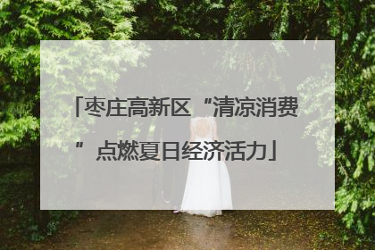 枣庄高新区“清凉消费”点燃夏日经济活力
