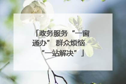 政务服务“一窗通办” 群众烦恼“一站解决”