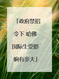 政府禁招令下 哈佛国际生受影响有多大