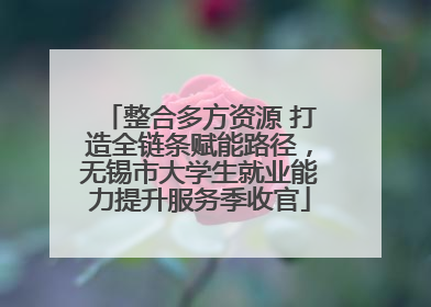 整合多方资源 打造全链条赋能路径，无锡市大学生就业能力提升服务季收官