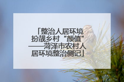 整治人居环境 扮靓乡村“颜值”——菏泽市农村人居环境整治侧记
