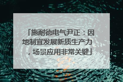 施耐德电气尹正：因地制宜发展新质生产力，场景应用非常关键
