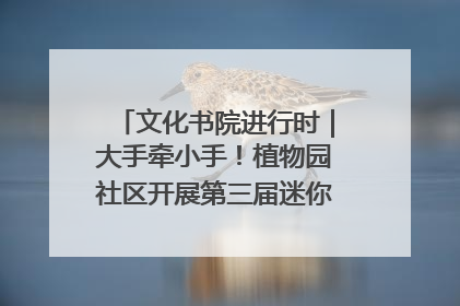 文化书院进行时｜大手牵小手！植物园社区开展第三届迷你马拉松活动
