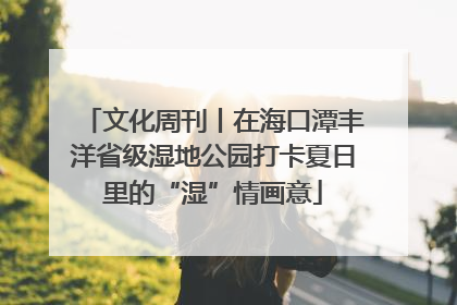 文化周刊丨在海口潭丰洋省级湿地公园打卡夏日里的“湿”情画意