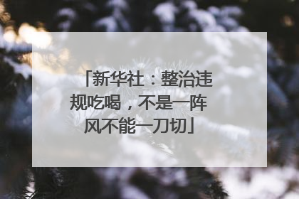 新华社：整治违规吃喝，不是一阵风不能一刀切