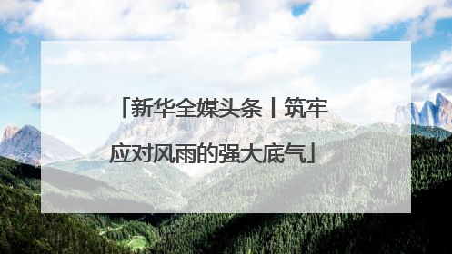 新华全媒头条丨筑牢应对风雨的强大底气