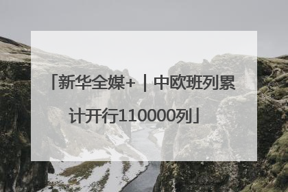 新华全媒+｜中欧班列累计开行110000列