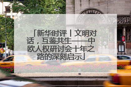 新华时评丨文明对话，互鉴共生——中欧人权研讨会十年之路的深刻启示