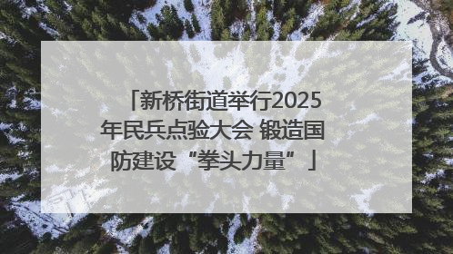 新桥街道举行2025年民兵点验大会 锻造国防建设“拳头力量”