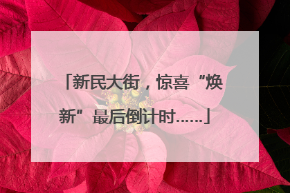 新民大街，惊喜“焕新”最后倒计时……