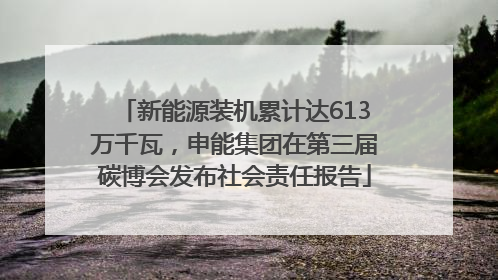 新能源装机累计达613万千瓦，申能集团在第三届碳博会发布社会责任报告