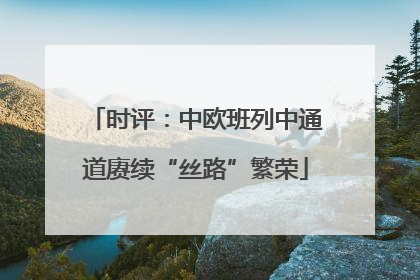 时评：中欧班列中通道赓续“丝路”繁荣