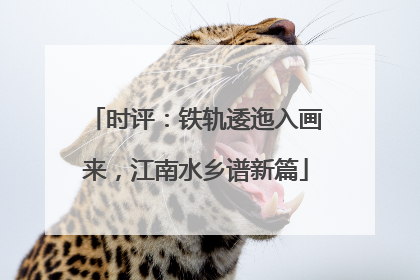 时评：铁轨逶迤入画来，江南水乡谱新篇