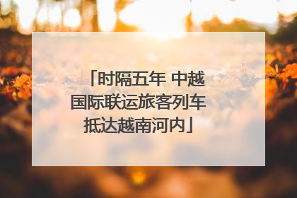 时隔五年 中越国际联运旅客列车抵达越南河内