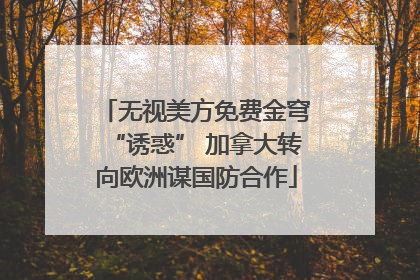 无视美方免费金穹“诱惑” 加拿大转向欧洲谋国防合作