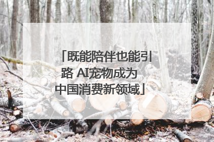 既能陪伴也能引路 AI宠物成为中国消费新领域