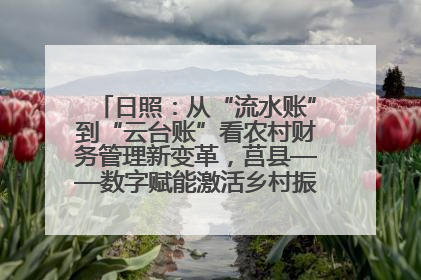 日照：从“流水账”到“云台账”看农村财务管理新变革，莒县——数字赋能激活乡村振兴“一池春水”