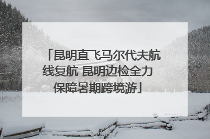 昆明直飞马尔代夫航线复航 昆明边检全力保障暑期跨境游