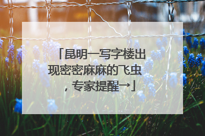 昆明一写字楼出现密密麻麻的飞虫，专家提醒→