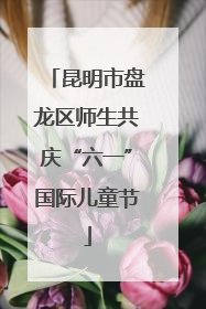 昆明市盘龙区师生共庆“六一”国际儿童节