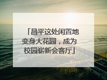 昌平这处闲置地变身大花园，成为校园崭新会客厅