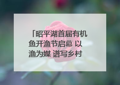 昭平湖首届有机鱼开渔节启幕 以渔为媒 谱写乡村振兴新篇章