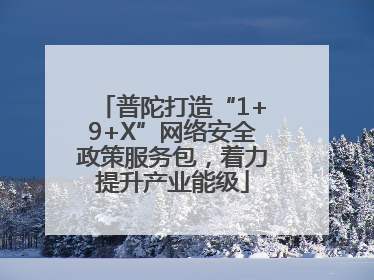 普陀打造“1+9+X”网络安全政策服务包，着力提升产业能级