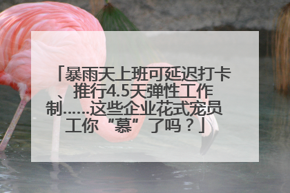暴雨天上班可延迟打卡、推行4.5天弹性工作制……这些企业花式宠员工你“慕”了吗？