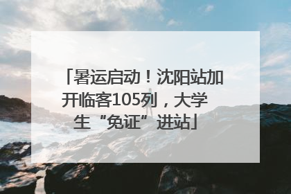 暑运启动！沈阳站加开临客105列，大学生“免证”进站