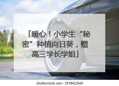 暖心！小学生“秘密”种植向日葵，赠高三学长学姐