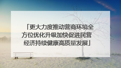 更大力度推动营商环境全方位优化升级加快促进民营经济持续健康高质量发展