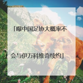 曝中国足协大概率不会与伊万科维奇续约
