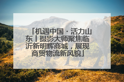 机遇中国・活力山东丨摄影大师聚焦临沂新明辉商城，展现商贸物流新风貌