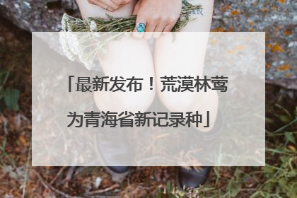 最新发布！荒漠林莺为青海省新记录种