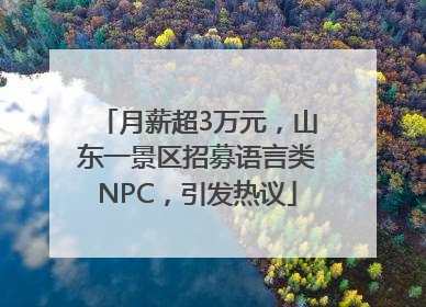 月薪超3万元，山东一景区招募语言类NPC，引发热议