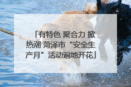有特色 聚合力 掀热潮 菏泽市“安全生产月”活动遍地开花