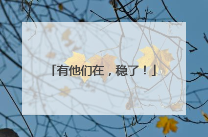 有他们在，稳了！