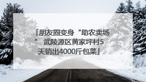朋友圈变身“助农卖场” 武陵源区黄家坪村5天销出4000斤包菜