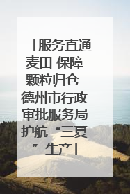 服务直通麦田 保障颗粒归仓 德州市行政审批服务局护航“三夏”生产