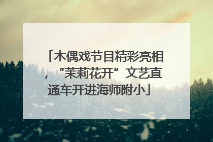 木偶戏节目精彩亮相，“茉莉花开”文艺直通车开进海师附小